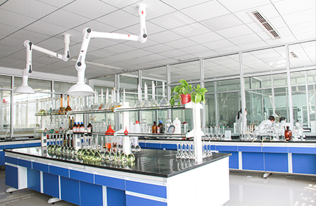 365速发国际(中国)官方网站