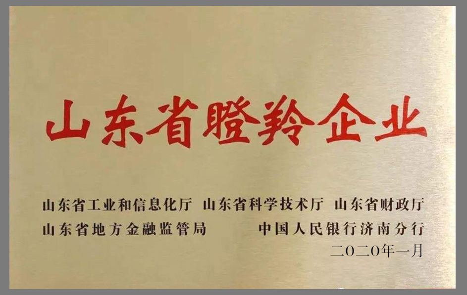 365速发国际(中国)官方网站
