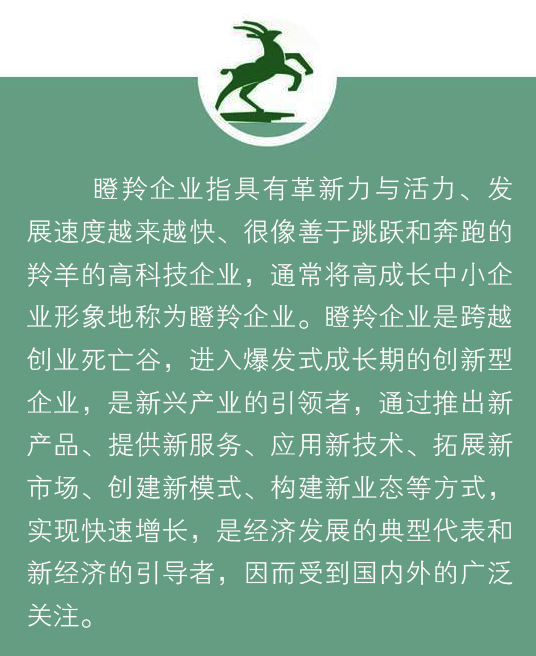 365速发国际(中国)官方网站