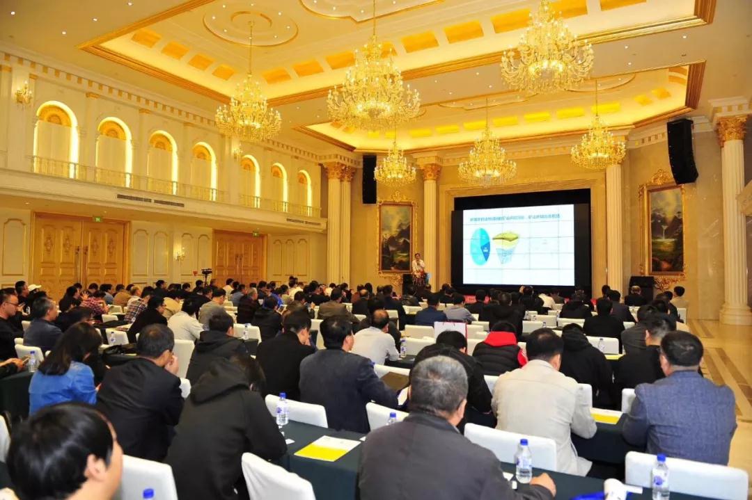 365速发国际(中国)官方网站